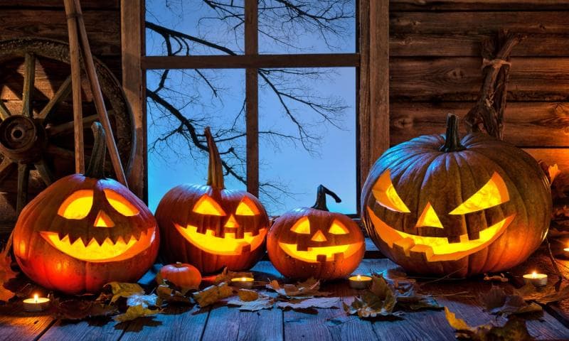 Awal Mula Labu Jadi Ikon Perayaan Halloween