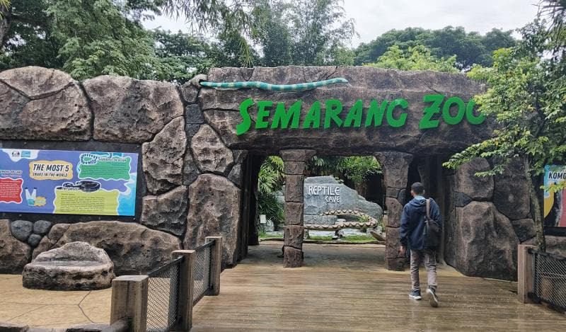 Viral Dugaan Harimau Semarang Zoo Dijual, Begini Kata Pengelola!