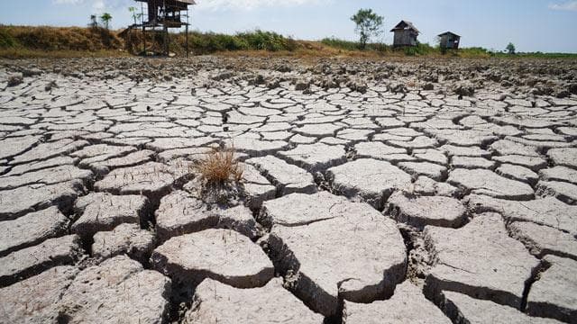 Riset Ungkap Kita Sering Merasa Kebal dari Dampak Perubahan Iklim