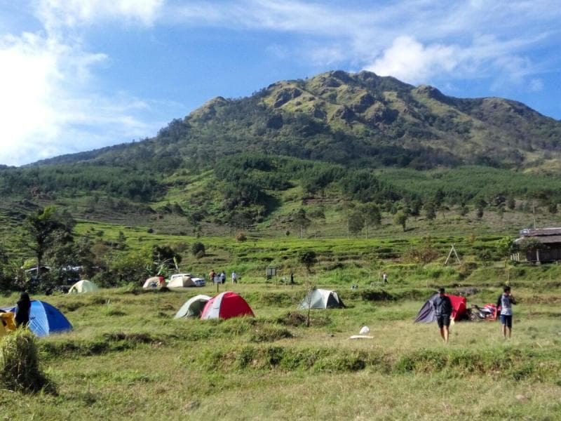 Gunung Ungaran: Jejak Tiga Generasi yang Tumbuh dari Runtuhan