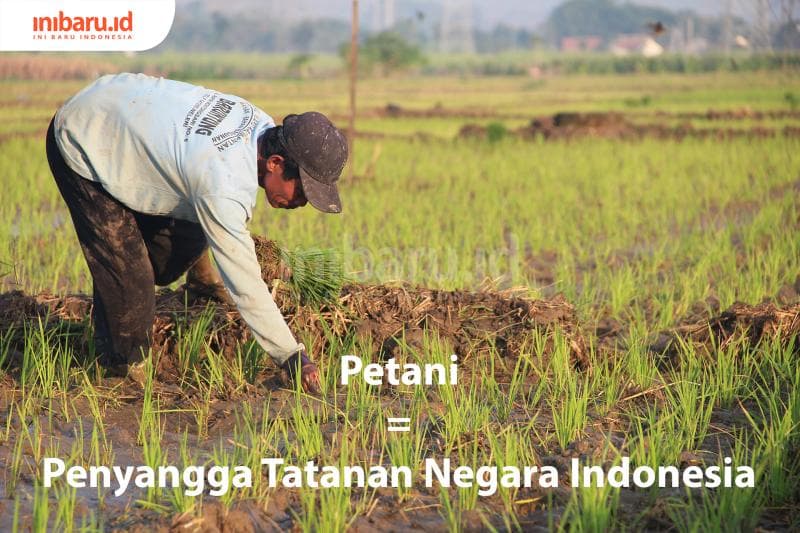Nggak banyak orang tahu jika Petani adalah singkatan dari Penyangga Tatanan Negara Indonesia. (Inibaru.id/Triawanda Tirta Aditya)