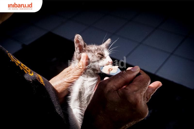 Astin harus membantu makan kucing yang buta. (Inibaru.id/ Audrian F)<br>