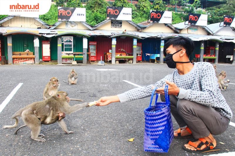 Seorang warga memberi makan monyet di objek wisata Goa Kreo Semarang. (Inibaru.id/ Triawanda Tirta Aditya)