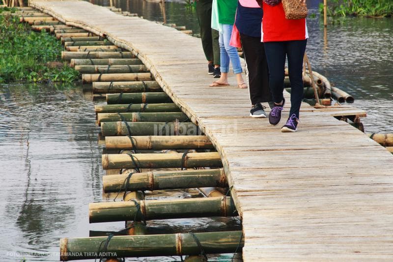 Kaki dan badanmu akan terasa bergoyang ketika berjalan di atas jalur bambu ini.<br>