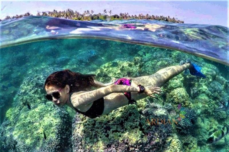 Snorkeling adalah salah satu aktivitas yang bisa kamu lakukan saat <i>island hopping </i>di Karimunjawa. (Ardriankarimunjawa)