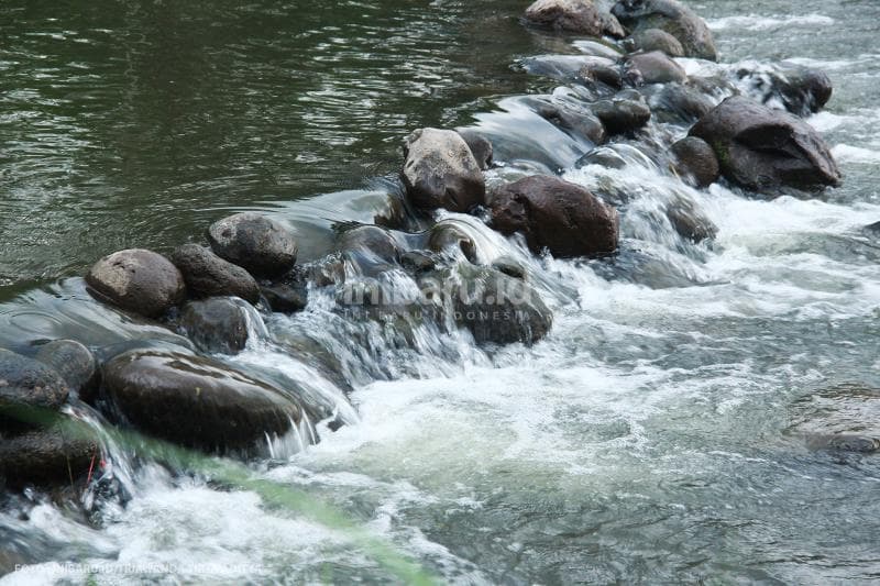 Suara khas gemercik air sungai bakal bikin hati kamu semakin gembira.<br>