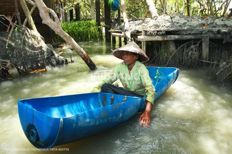 Sosok Mak Jah yang berkeliling menanam mangrove dengan perahu dari tangki air bekas yang dibelah dan mendayung dengan kedua tangannya.<br>