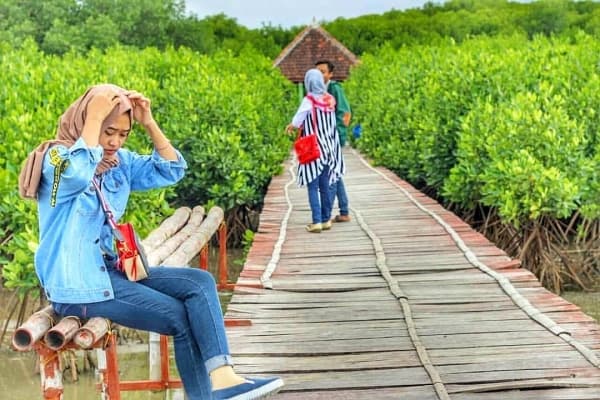 Meniti Jembatan Merah, Menyibak Lebatnya Hutan Mangrove Pasarbanggi di Rembang