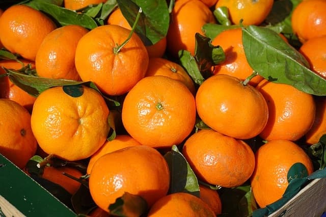 Jeruk Mandarin yang tengah langka di pasaran. (Pixabay.com)