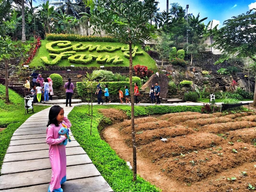 Cimory on the Valley, Tempat Wisata yang Cocok untuk Keluarga