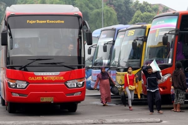 Kemenhub menyiapkan 1.200 bus untuk pemudik 2019. (Antara/ M Agung Rajasa)