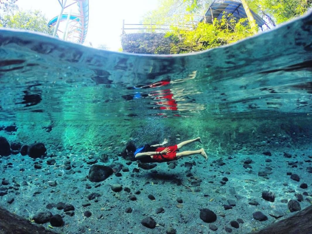 Saking Beningnya, Bebatuan di Dasar Tampak Jelas dari Permukaan Umbul Ingas Cokro Tulung