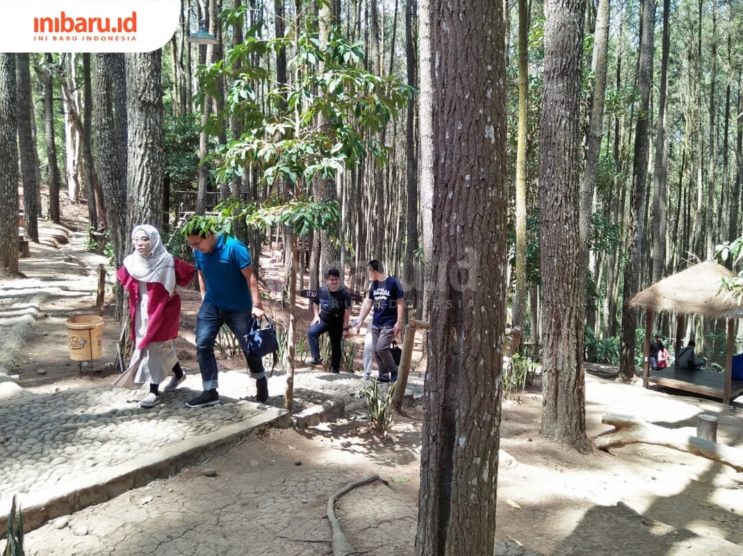 Akses jalan Objek wisata Hutan Pinus Mangunan-Dlingo sudah memadai sehingga memudahkan pengunjung menjelajah hutan. (Inibaru.id/ Issahani)