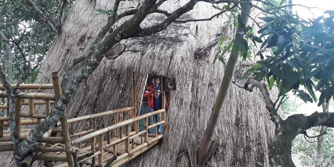Rumah pohon di Bukit Lamped. (Merdeka.com)