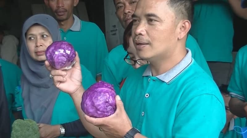 Angkat Nasib Petani, Ulus Peroleh Penghargaan dari FAO
