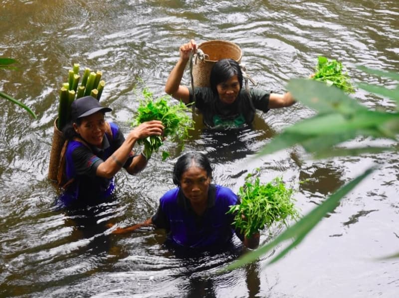 Maryetha Samay bersama-sama ibu lainnya secara rutin memetik sayur di ladang, menyeberangi sungai. (Mongabay Indonesia/Yani Saloh)