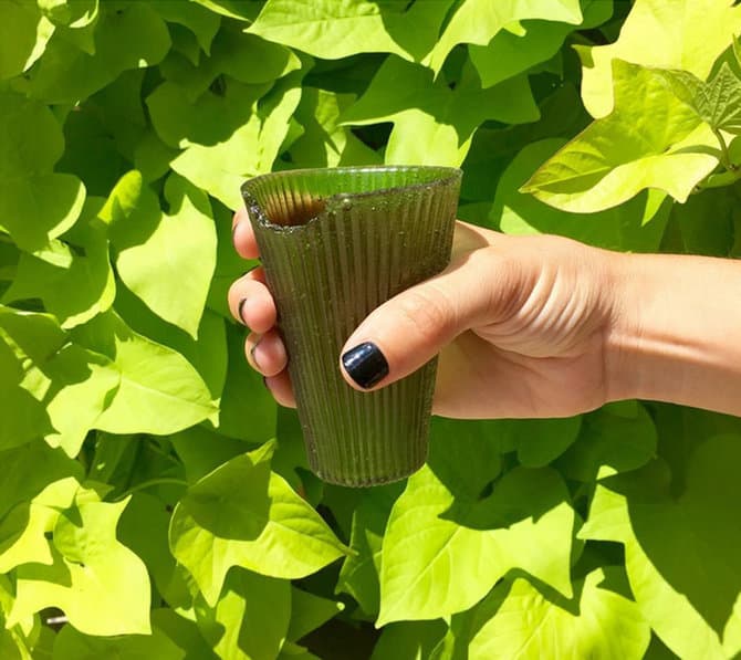 Bantu Kurangi Produksi Sampah, Perusahaan-Perusahaan Ini Bikin Gelas Siap Lahap