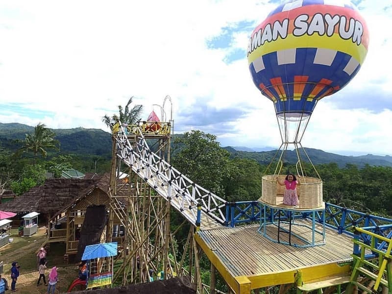 Selain Spot Instagenik, Segarnya Sayuran Juga Bisa Kamu Cicipi Langsung di Taman Sayur Limbangan