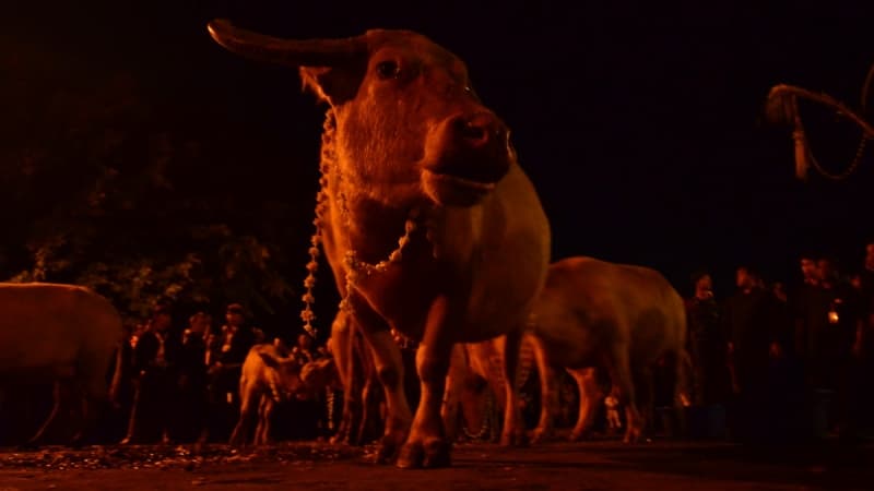 Menilik Kesakralan Tradisi Malam Satu Sura