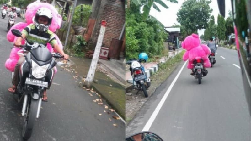 Kisah Pemuda yang Bawa Boneka Beruang Raksasa ke Pemakaman