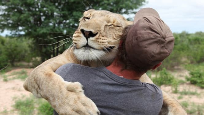 5 Rekomendasi Film Seru tentang Persahabatan Manusia dan Hewan