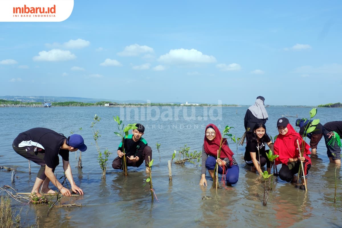 Sejumlah peserta penanaman mangrove di Pantai Tirang. (Inibaru.id/ Mayang Istnaini)
