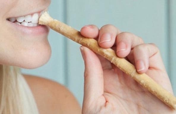 Si Ranting Kaya Manfaat Ini Efektif Bersihkan Gigi dan Mulut