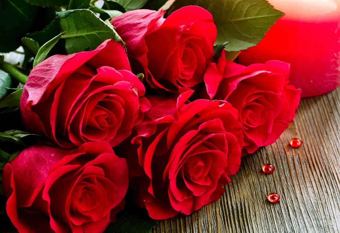 Mawar, Bunga yang Indah Dipandang dan Enak Dimakan
