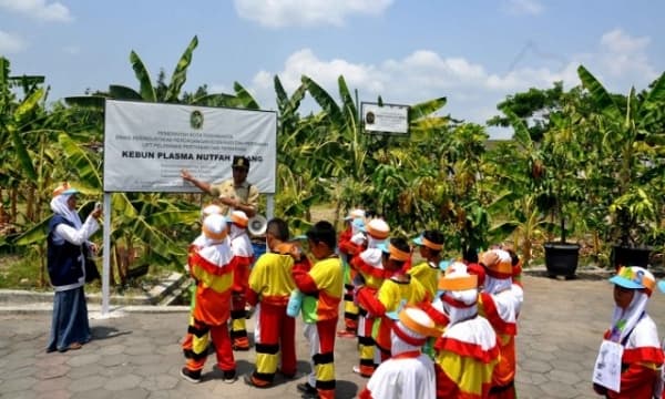 Mengenal Sangga Buana Merah, Genderuwo, dan Pisang-Pisang Langka di Kebun Plasma Nutfah Pisang Yogyakarta