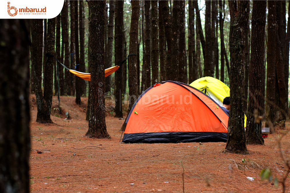 Camping di Hutan Pinus Kalipasang. (Inibaru.id/ Laras Puspita)